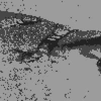 443d9342-783f-43b8-94a8-2ba5d5381ccb.JPG