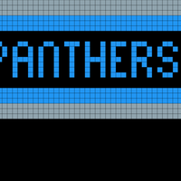 Panthers Mini
