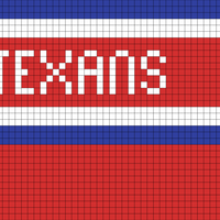 Texans Mini