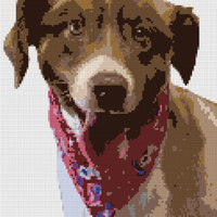 124329fa-c831-4bb4-8bd3-02ed9dadf958-removebg-preview.png