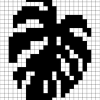 Copy of Monstera