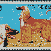 Afghan hounds cuba stamp.jpg