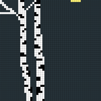 Birch1