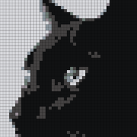 IMG_5959.jpeg
