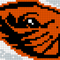 Copy of beaver