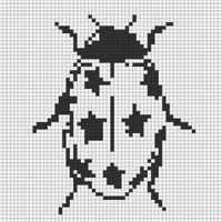 IMG_0615.jpeg