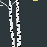 Copy of Birch1.png