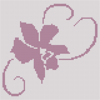 Copy of orchid2.jpg