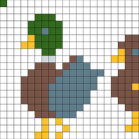 mallard