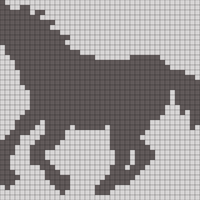 Copy of Pferd