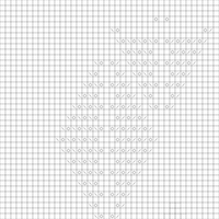 Copy of Rhombus