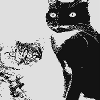 Untitled design (9).png