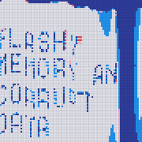 flash001 1.jpeg