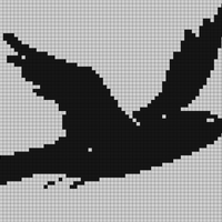 flyingbird.jpeg
