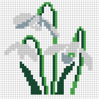 snow drop