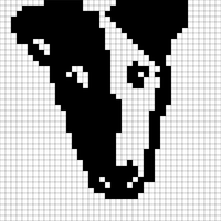 image1.jpeg