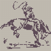 Copy of Cowboy