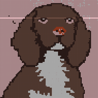 10881.png