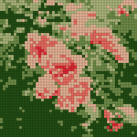 Flora_7 3.png