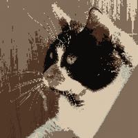 IMG_2880.jpeg