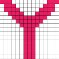 Y