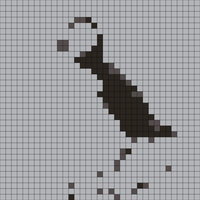 puffin_2021-03-16-222403.webp