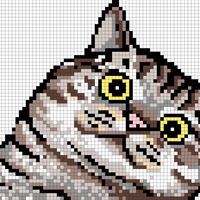Copy of potato