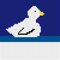 duck