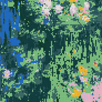 Waterlillies