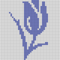 IMG_4348.png