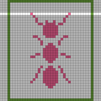 Ant