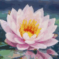 flower.jfif