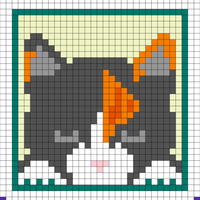 Cat Forward View