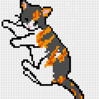 fairy cat
