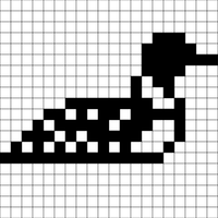Copy of Copy of Loon