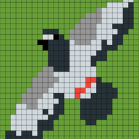 Copy of pigeon 3
