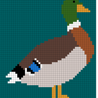 Mallard 1
