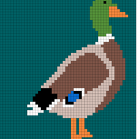 Mallard 3