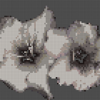 FLOWERS.jpg