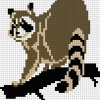 raccon back.png
