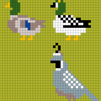 Birds