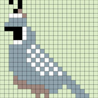 Quail