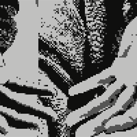 IMG_2783.jpeg