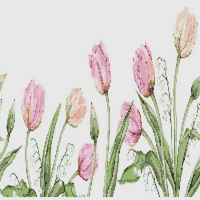 Tulip Field