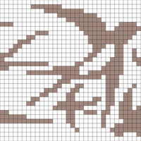 Copy of Swallows