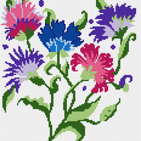 persian_iris_front