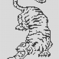 Tiger graphic.jpg