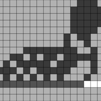 loon