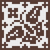 Copy of bug