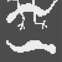 Copy of salamander